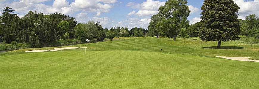 Bermudagrass