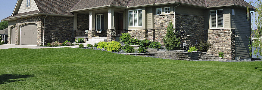 Kentucky Bluegrass