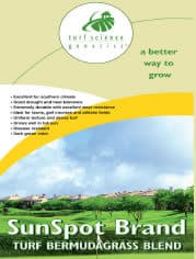 SunSpot -Turf Grass Seeds