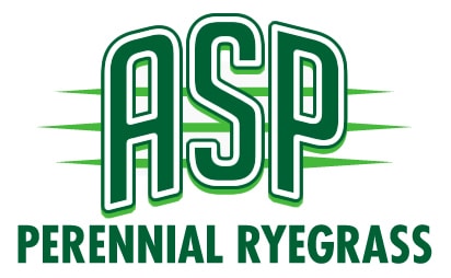 ASP Perennial Ryegrass